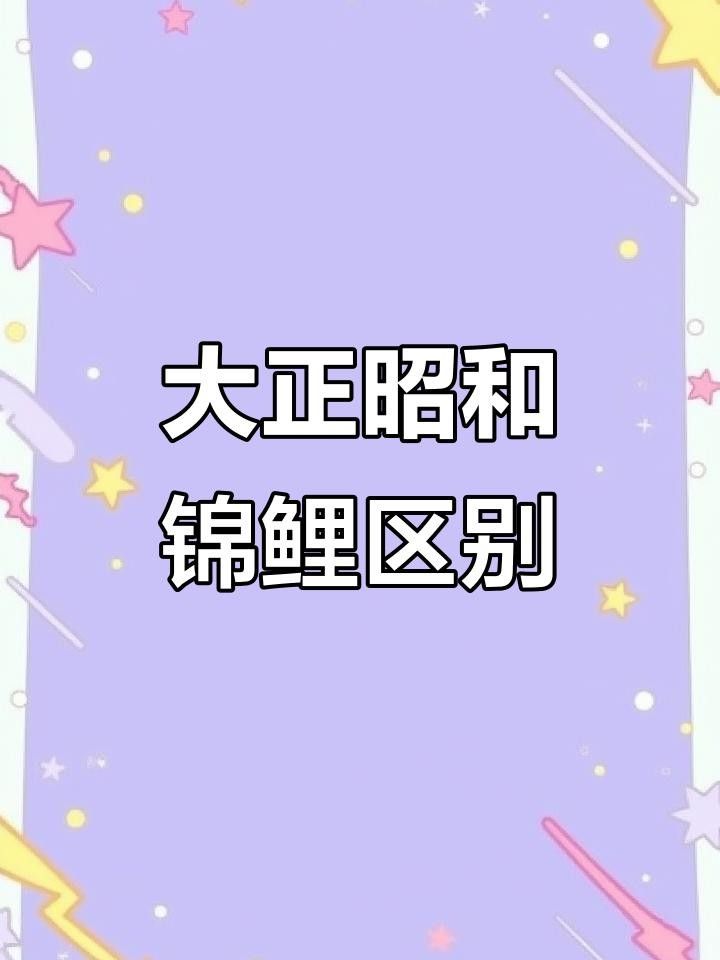 如何區(qū)分大正錦鯉和昭和錦鯉，大正錦鯉和昭和錦鯉的區(qū)別如何分辨三色錦鯉品種大揭秘