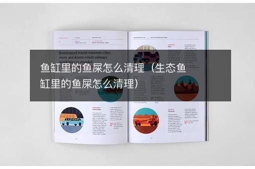 哈密觀賞魚購買渠道和價格，哈密觀賞魚在哪買哈密觀賞魚在哪買哈密觀賞魚在哪買的