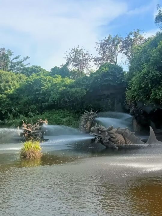 北關龍魚的價格是多少，北關龍魚價格大揭秘，超值精品等你拿全民小視頻