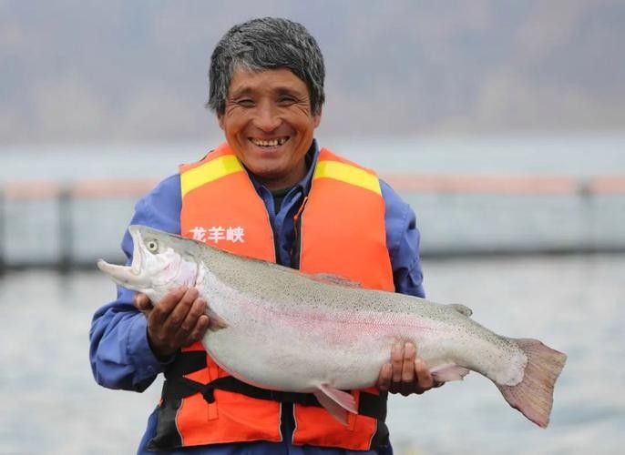 龍羊峽三文魚的價格是多少？，青海龍羊峽三文魚的價格是多少？