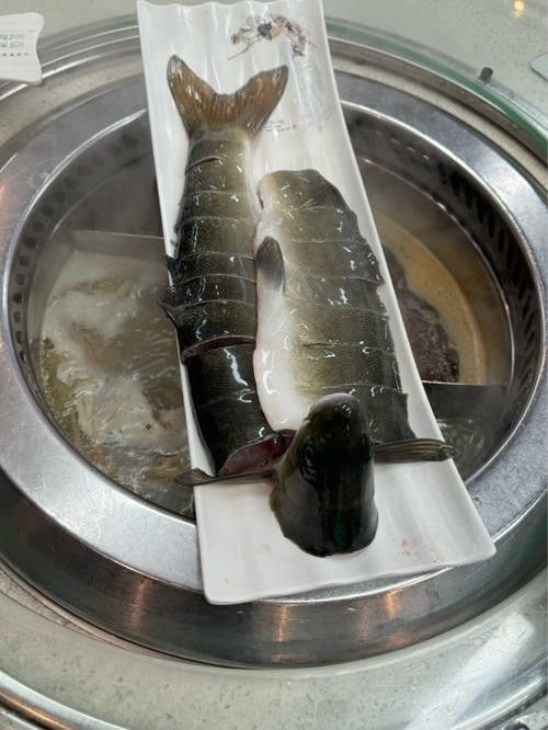 雅魚的價格是多少？雅魚有哪些營養價值？，舌尖上的雅安——雅魚