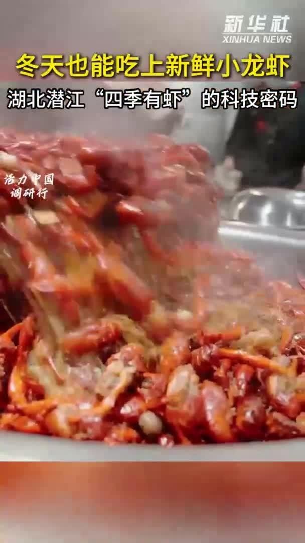潛江小龍蝦產業