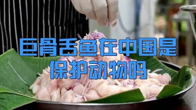 巨骨舌魚在中國是保護動物嗎evan漫游記是保護動物嗎，evan漫游記巨骨舌魚在中國是保護動物嗎