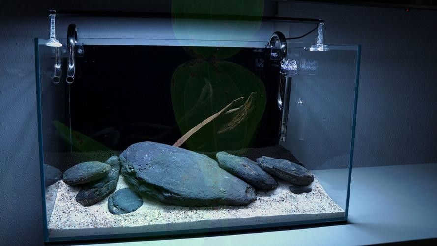 水族品牌大全涵蓋了多個(gè)知名的水族產(chǎn)品供應(yīng)商，這些品牌值得推薦，臺(tái)灣水族品牌大全涵蓋了多個(gè)知名的水族產(chǎn)品供應(yīng)商