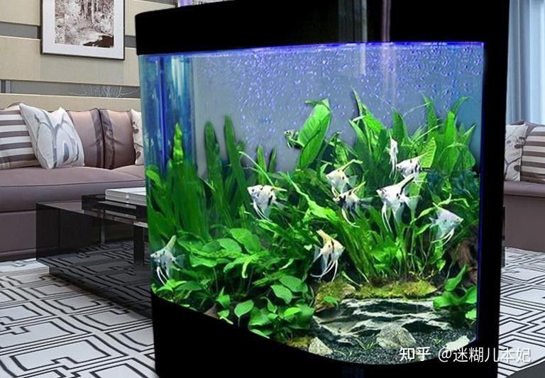 水族品牌大全涵蓋了多個(gè)知名的水族產(chǎn)品供應(yīng)商，這些品牌值得推薦，臺(tái)灣水族品牌大全涵蓋了多個(gè)知名的水族產(chǎn)品供應(yīng)商