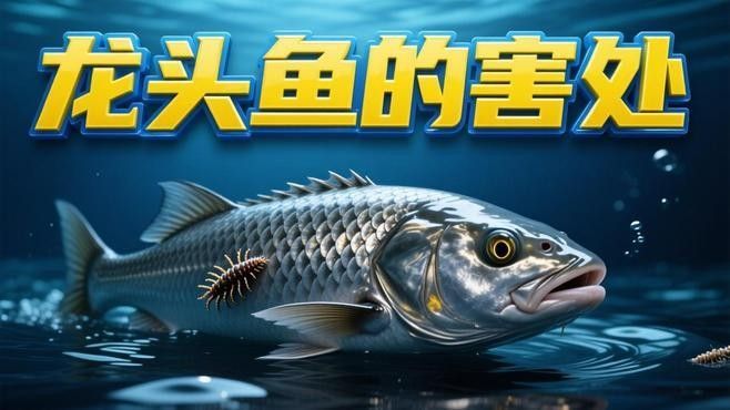 “寒亭龍魚”要少吃？，“寒亭龍魚”要少吃嗎？