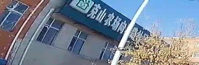 黑龍江省齊齊哈爾市克山縣克山縣克山龍魚養(yǎng)殖技術(shù)有哪些，克山龍魚的養(yǎng)殖技術(shù)