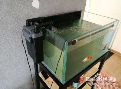 老三樣治療龍魚水霉有好轉換水后還需要繼續下鹽嗎，老三樣治療龍魚水霉有好轉換水后還要繼續下鹽嗎
