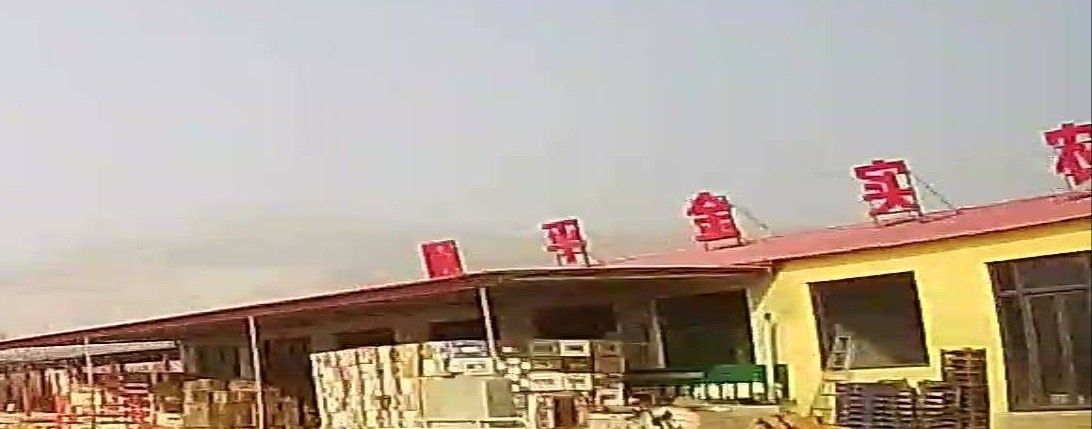 龍魚為何成為水族箱寵兒揭秘其魅力與象征意義全民小視頻，“順平”通常指河北省保定市的順平縣有沒有龍魚養殖場