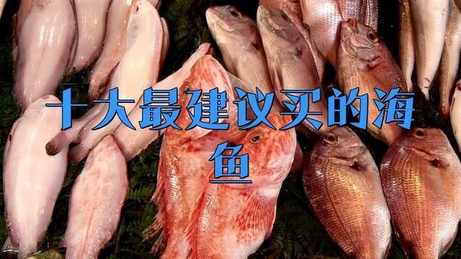 東海十大名魚的簡要介紹，三都港京東自營旗艦店guolian國聯東海帶魚段