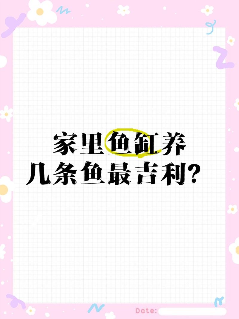 5條魚和6條魚在中國文化中的不同含義并分析對個人運勢的影響，5條魚吉利還是6條魚吉利