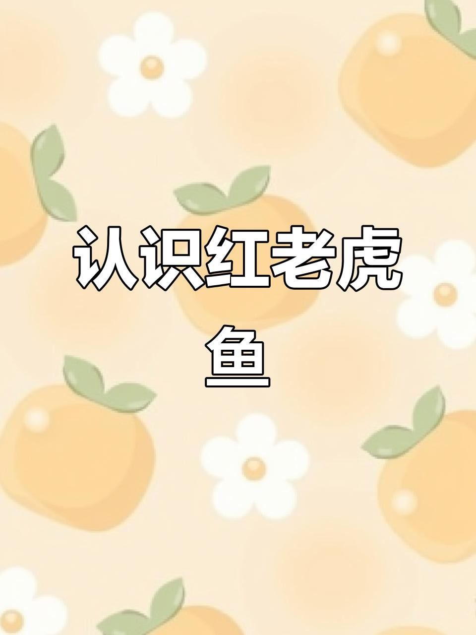 淡水紅老虎魚繁殖季節會表現出強烈的求偶行為，淡水紅老虎魚的價格是多少？
