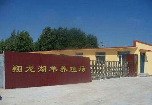 <strong><mark>慈溪</mark></strong>龍魚的市場價格，<strong><mark>慈溪</mark></strong>市有哪些龍魚養殖場？，<strong><mark>慈溪</mark></strong>龍魚的養殖技術有哪些<strong><mark>慈溪</mark></strong>龍魚養殖技術有哪些