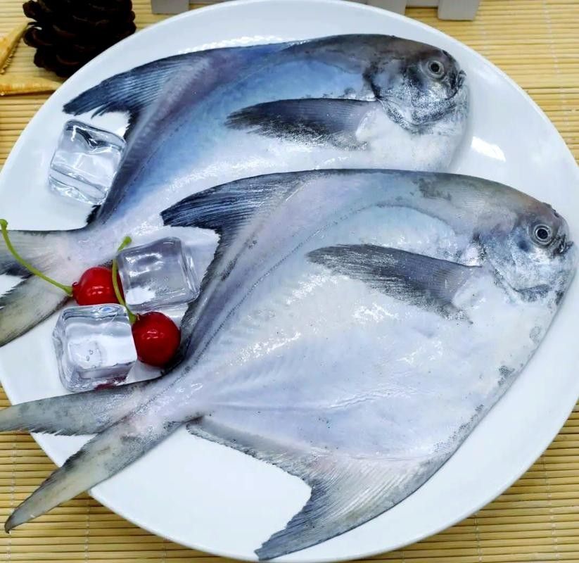 鯧魚的營養價值及種類，各種鯧魚的營養價值與烹飪方法