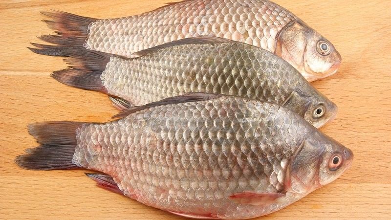 鯧魚的營養價值及種類，各種鯧魚的營養價值與烹飪方法