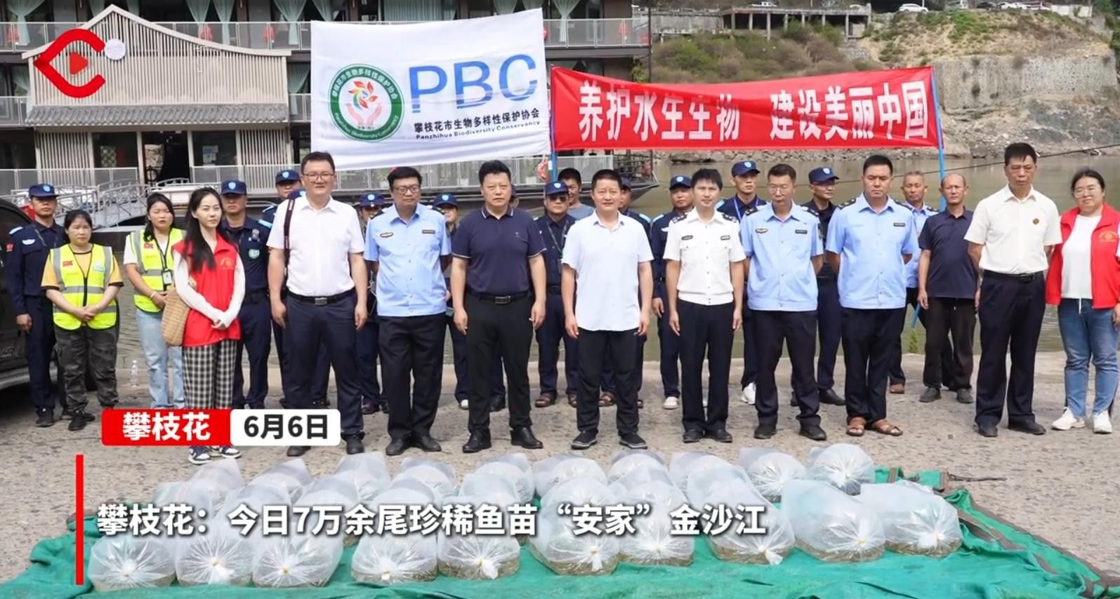 <strong><mark>攀枝花</mark></strong>的魚類資源，<strong><mark>攀枝花</mark></strong>市的魚類資源