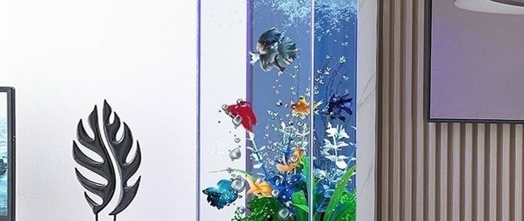 魚缸藍色背景適合養什么龍魚魚缸藍色背景適合養什么龍魚，魚缸藍色背景適合養什么龍魚
