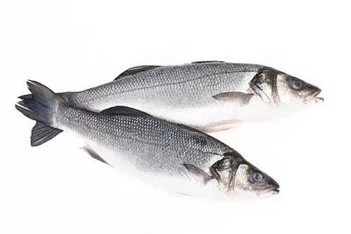 黑鳘魚，黑鳘聽，黑鳘魚的價(jià)格是多少？，黑鳘魚和石斑魚有什么區(qū)別，