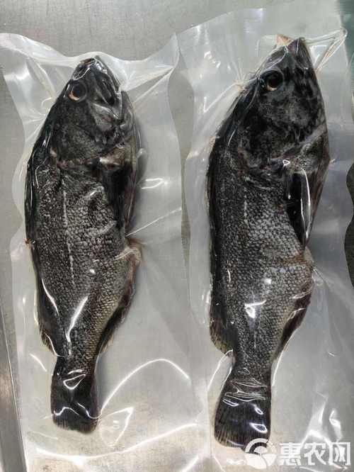 黑鳘魚，黑鳘聽，黑鳘魚的價(jià)格是多少？，黑鳘魚和石斑魚有什么區(qū)別，