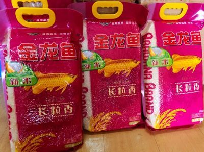 金龍魚20公分的價格是多少？，金龍魚20公分的價格
