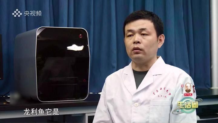 龍利魚和巴沙魚的區別，板魚巴沙魚與巴沙魚哪個營養價值更高專家現場分析講解