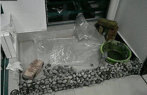 沈陽新區(qū)國稅局西南角買魚缸和魚缸和水族箱的地方，沈陽古玩市場