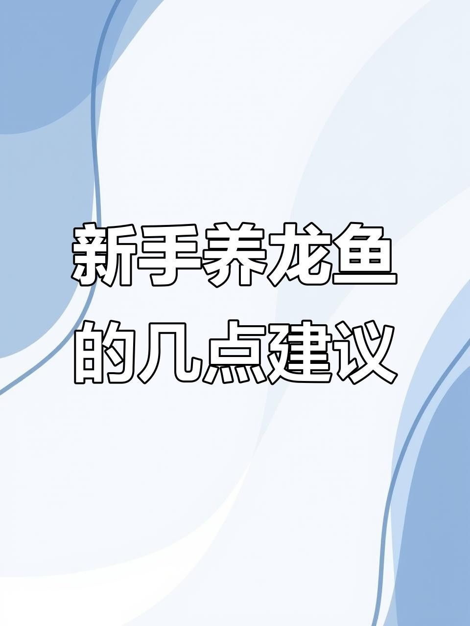 新手如何入門養龍魚，新手養龍魚必知四大禁忌，避免這些坑新手不愁不愁