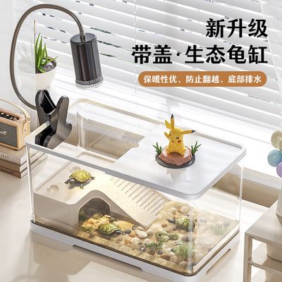 冬季飼養(yǎng)六角龍魚需要注意哪些問題？，六角龍魚在冬季需要更溫暖的水溫范圍為24-[需手動填充]