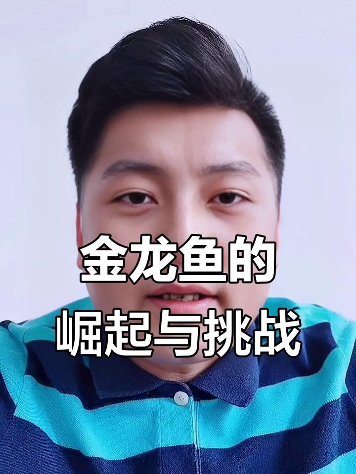 金龍魚在深圳有哪些門店，深圳金龍魚在深圳有哪些門店
