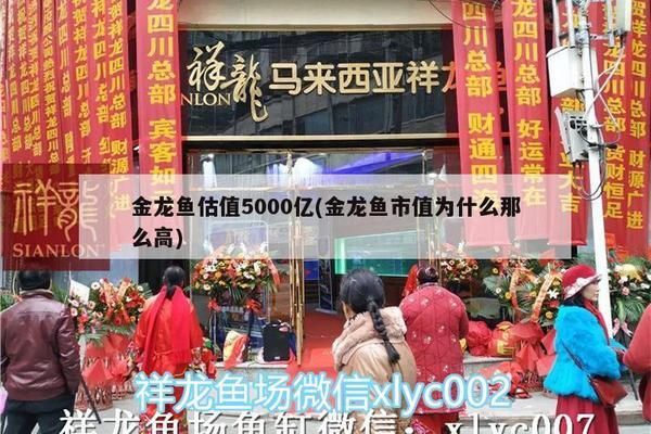 觀賞魚種類大全觀賞魚種類有哪些