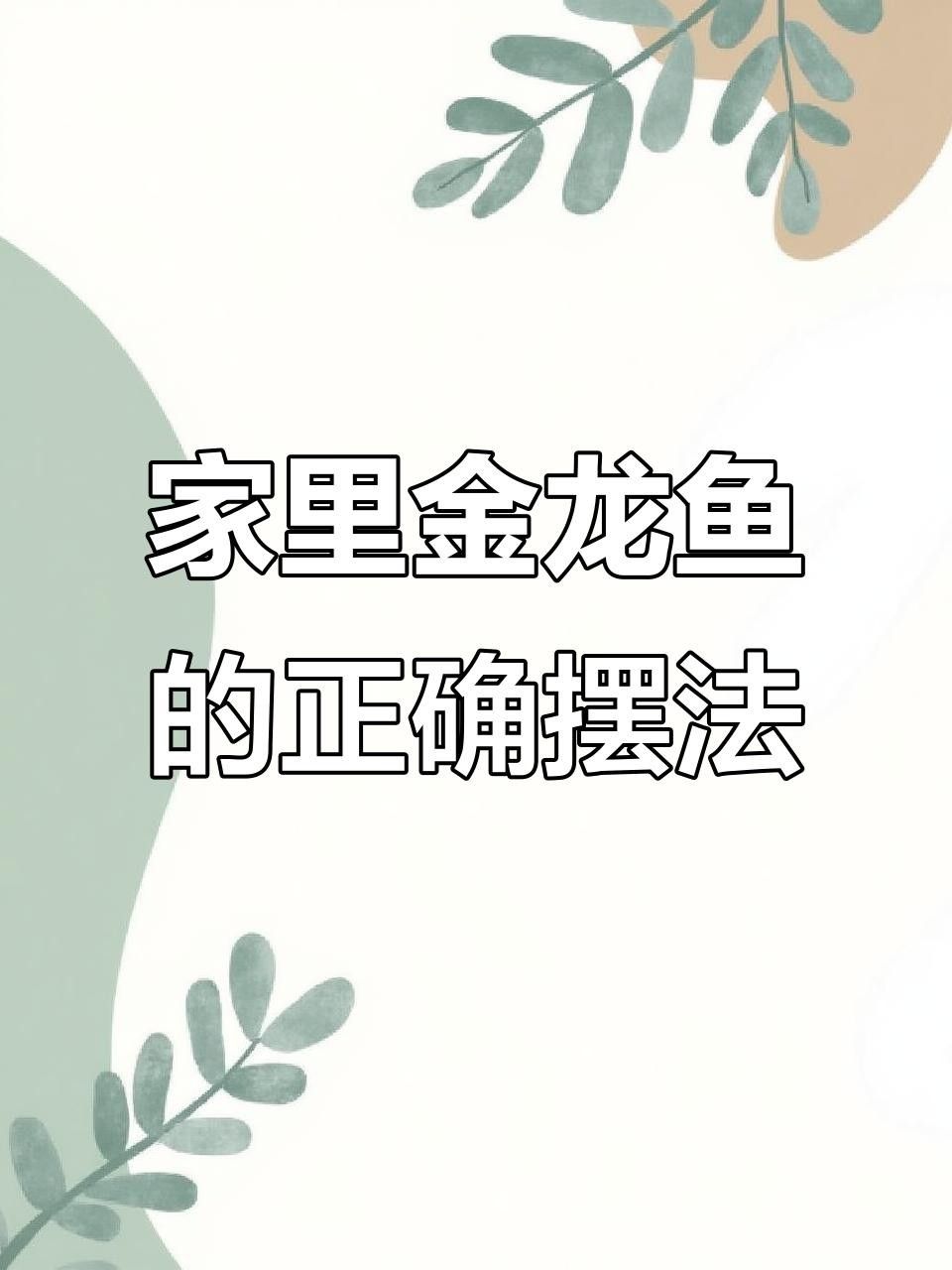 龍魚擺件放在家里什么地方好，家居風水應該怎么擺放好一起裝修網家居風水應該怎么擺放好