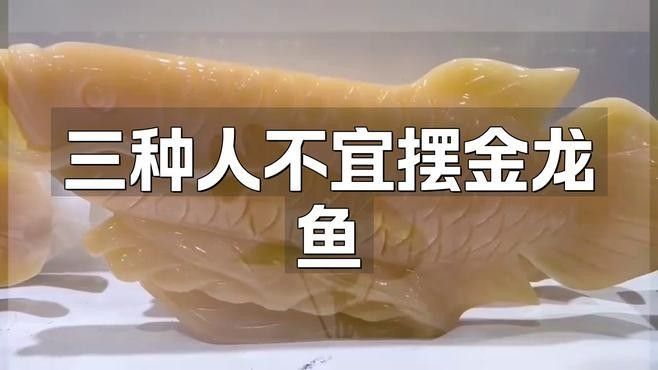 龍魚擺件放在家里什么地方好，家居風水應該怎么擺放好一起裝修網家居風水應該怎么擺放好