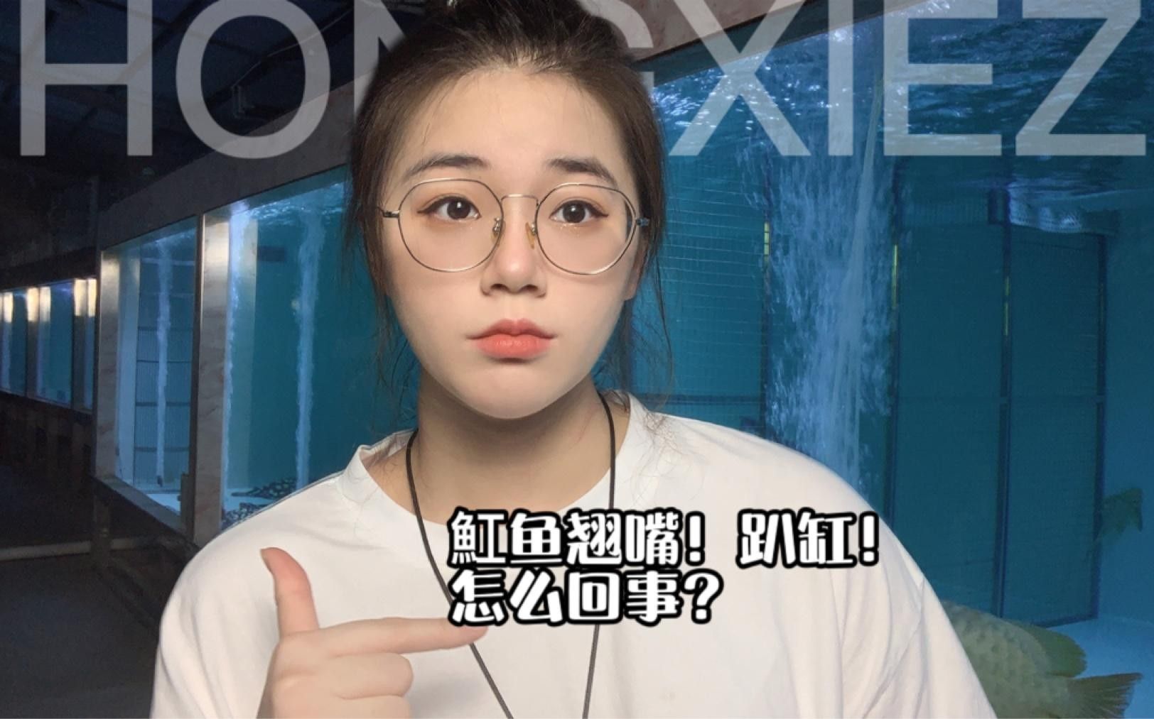 魟魚的常見疾病及治療要點，魟魚在養殖過程中可能遇到多種疾病及其防治要點