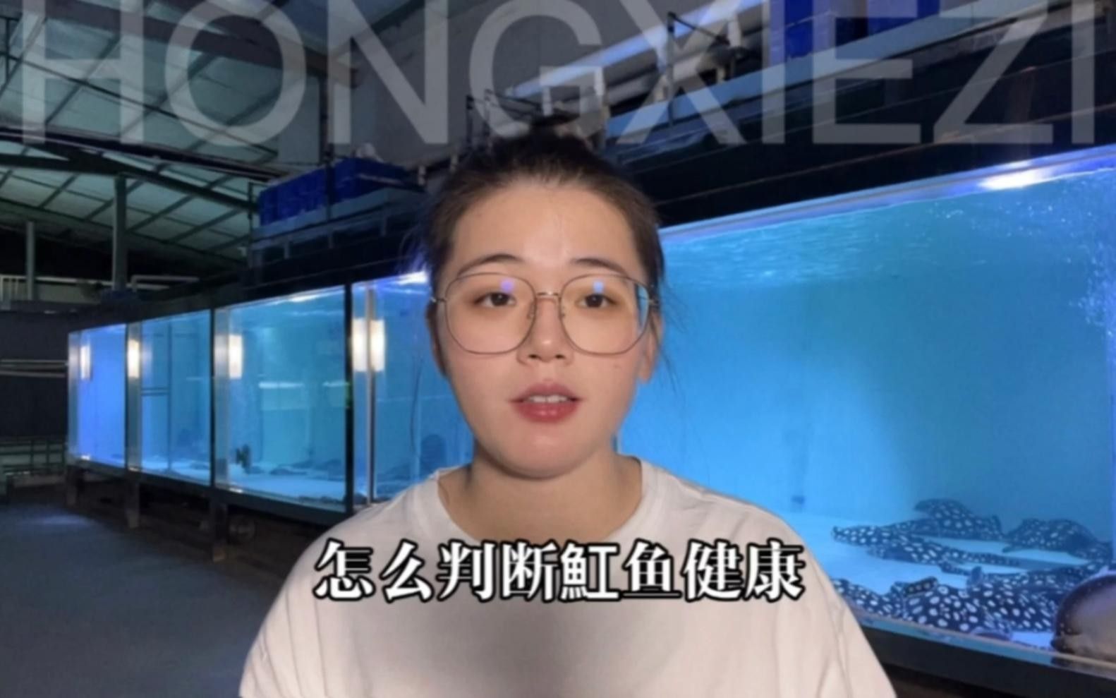 魟魚的常見疾病及治療要點，魟魚在養殖過程中可能遇到多種疾病及其防治要點