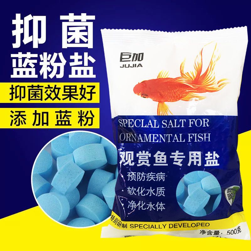 龍魚為什么不吃東西，探索龍魚不進食的原因與解決方法，探索龍魚不進食的原因與解決方法