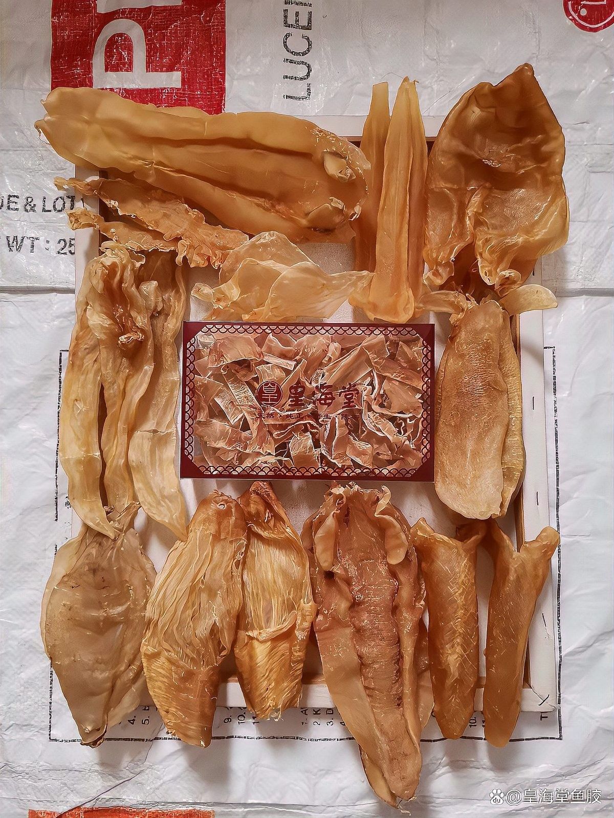 魚膠和金龍膠的價格差異大嗎北海魚膠和金龍膠的區別，北海魚膠和金龍膠有什么區別？