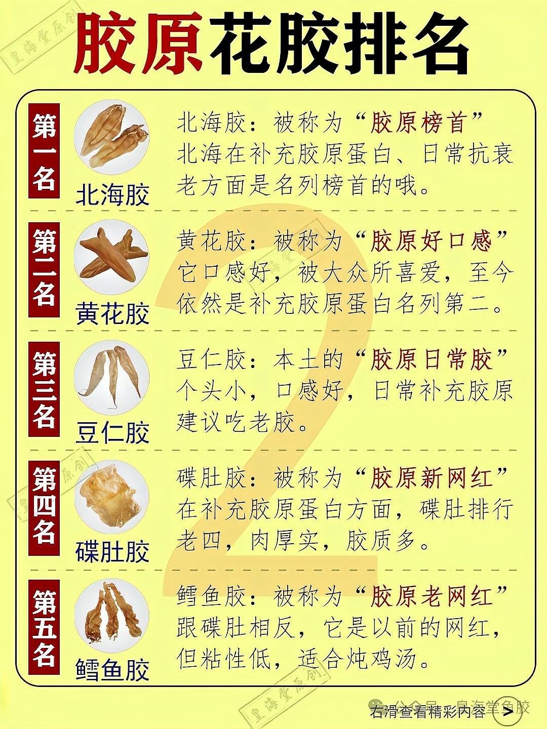 魚膠和金龍膠的價格差異大嗎北海魚膠和金龍膠的區別，北海魚膠和金龍膠有什么區別？