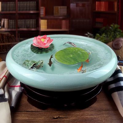 網購龍魚的注意事項，如何辨別一家網店的龍魚