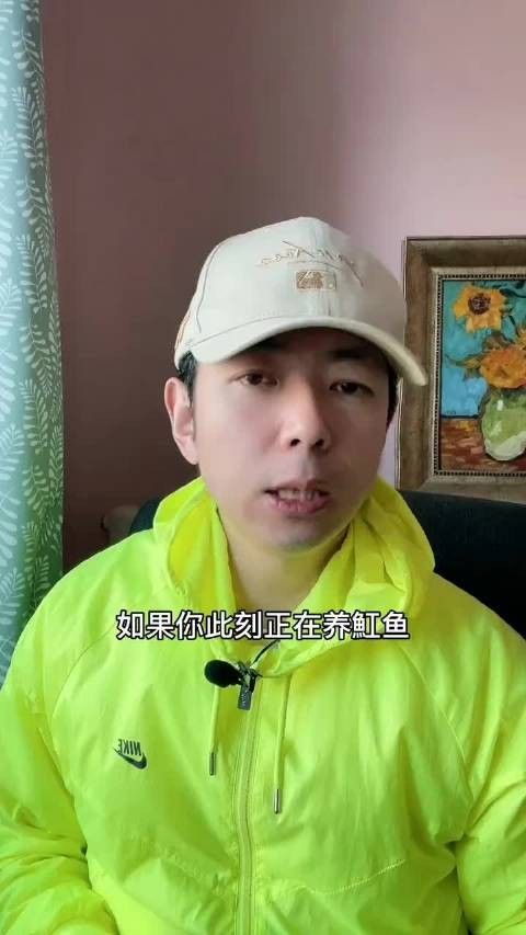 龍魚和魟魚常見疾病的病因、癥狀及治療方法全解析，魚和魟魚常見疾病的病因、癥狀及治療方法全解析