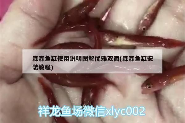 龍魚蒙眼的原因和治療龍魚蒙眼的原因和治療方法詳解，龍魚蒙眼的原因和治療方法