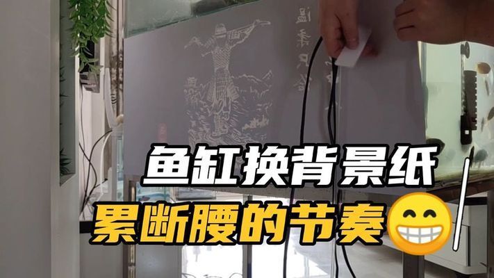 重慶魚缸批發市場在哪里進貨重慶魚缸批發市場在哪里進貨