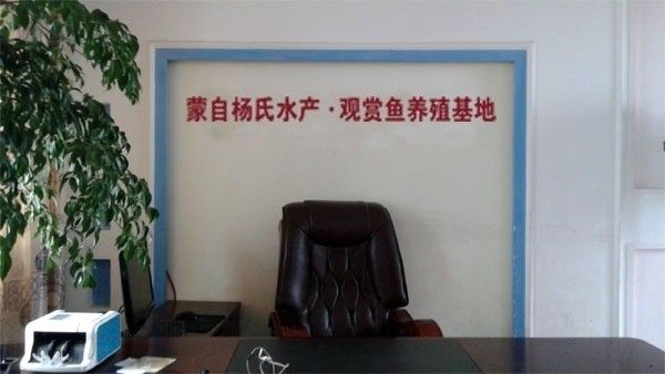 蒙自龍魚養殖基地是否養殖龍魚？，云南蒙自市吉合水產養殖基地養殖基地：蒙自龍魚養殖技巧