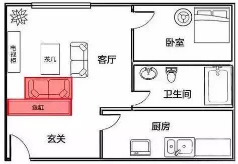 幼年龍魚與成年龍魚喂養差異（-幼年龍魚和成年龍魚在喂養時有哪些差異）