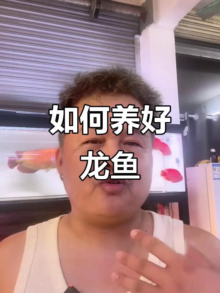 甘南龍魚的養(yǎng)殖技術(shù)有哪些？，甘南龍魚的養(yǎng)殖技術(shù)