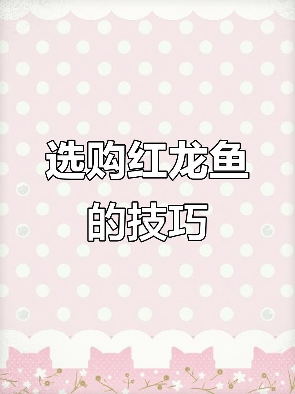 紅龍魚的正確飼養(yǎng)方法，安國紅龍魚的養(yǎng)殖技巧:如何挑選純種小紅龍魚尾巴