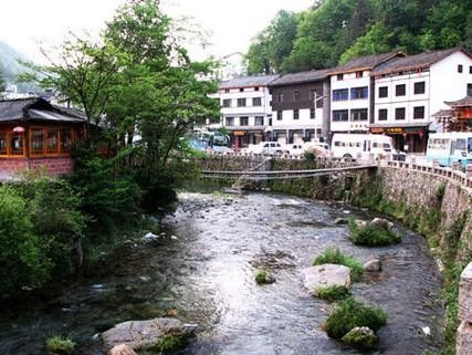 祥龍漁場的龍魚芯片如何掃描？，祥龍漁場龍魚芯片掃描方法