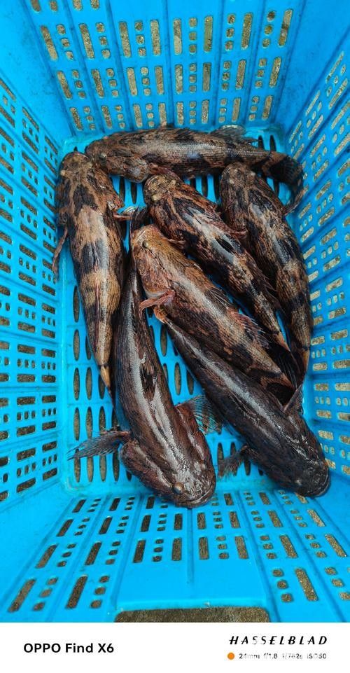 湖南這2條線路獲全國推介，快收藏→2025年桃源鄉(xiāng)村，《桃源鄉(xiāng)村》的主角是誰？