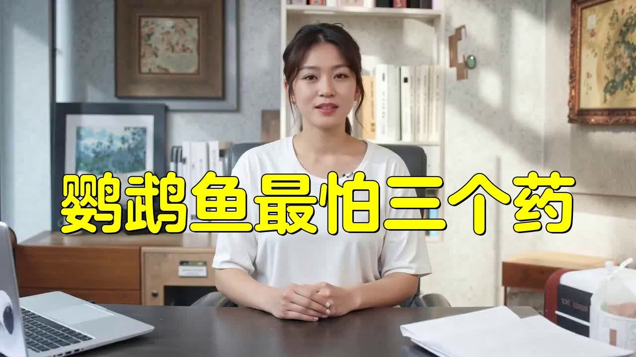 鸚鵡魚白點病最怕三個東西，萌寵保姆,01:55，財神鸚鵡魚最怕三個東西萌寵保姆鸚鵡魚最怕三個藥萌寵保姆