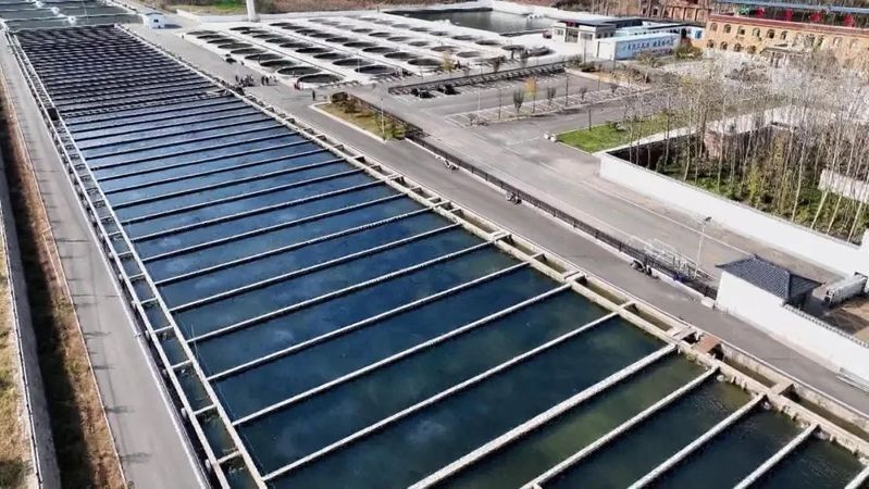 沁水龍魚的價格是多少？，山西沁水縣的三文魚養殖項目有哪些成功案例有哪些