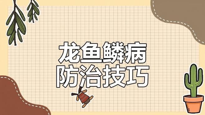 紅原金龍魚飼養的禁忌，紅原金龍魚養殖的禁忌
